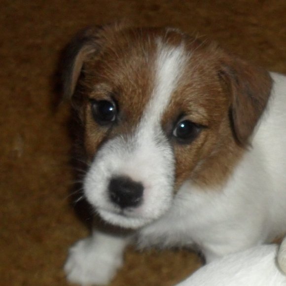 Thanks for shopping my closet!!! - Picture 16 of 16